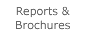 Reports & Brochure